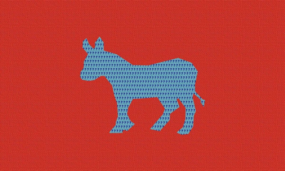 The Future of the Democratic Party and Liberal Values